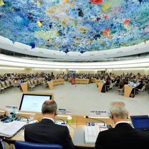 A general view of participants during the 29th Regular Session of the Human Rights Council. 3 July 2015. UN Photo / Jean-Marc Ferr